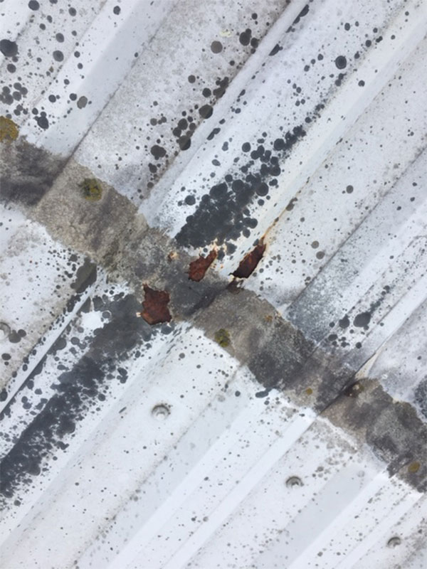 asbestos-removal-devon Asbestos Removal Devon